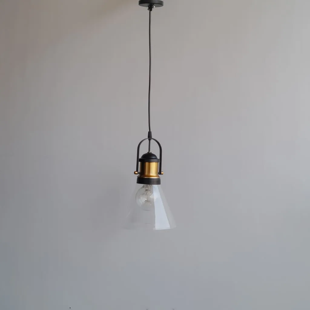 Clh113 Industrial Pendant Light Conical Clear Glass