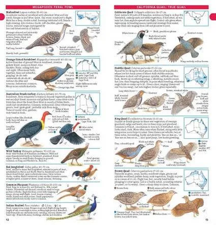 Compact Field Guide to Australian Birds: The Complete Pocket-sized Reference