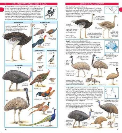 Compact Field Guide to Australian Birds: The Complete Pocket-sized Reference