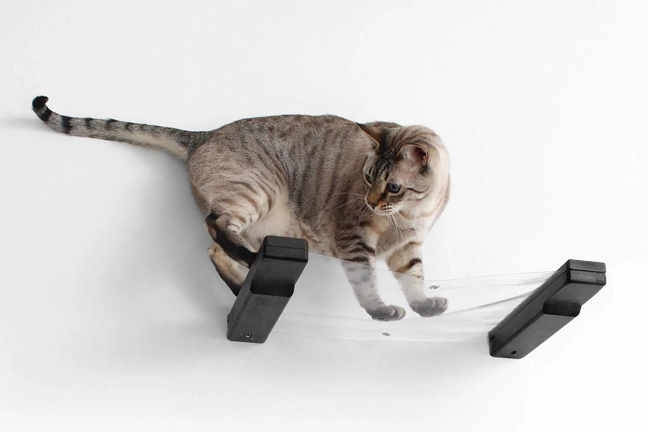 Invisible Cat Wall Hammock