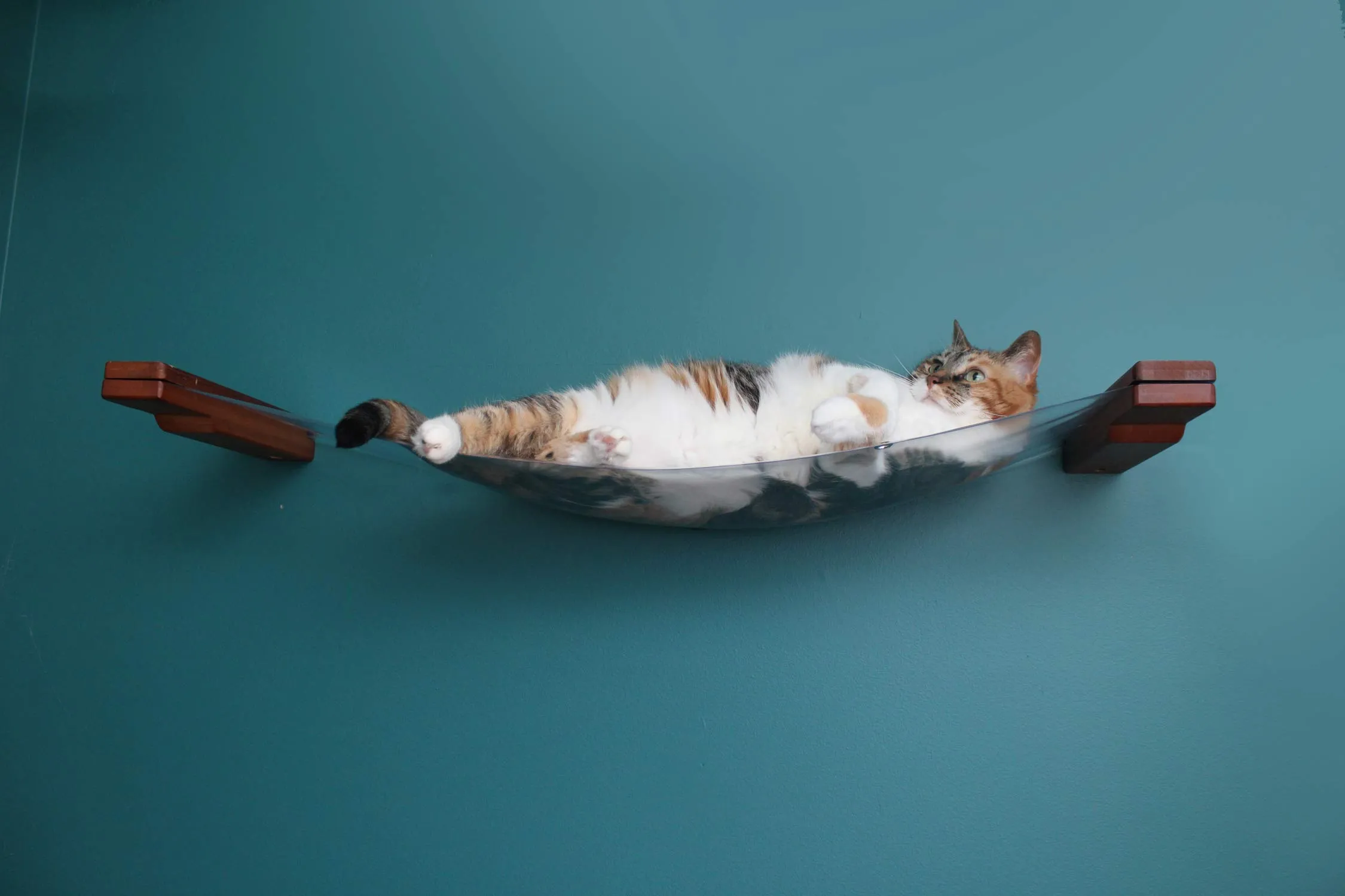 Invisible Cat Wall Hammock