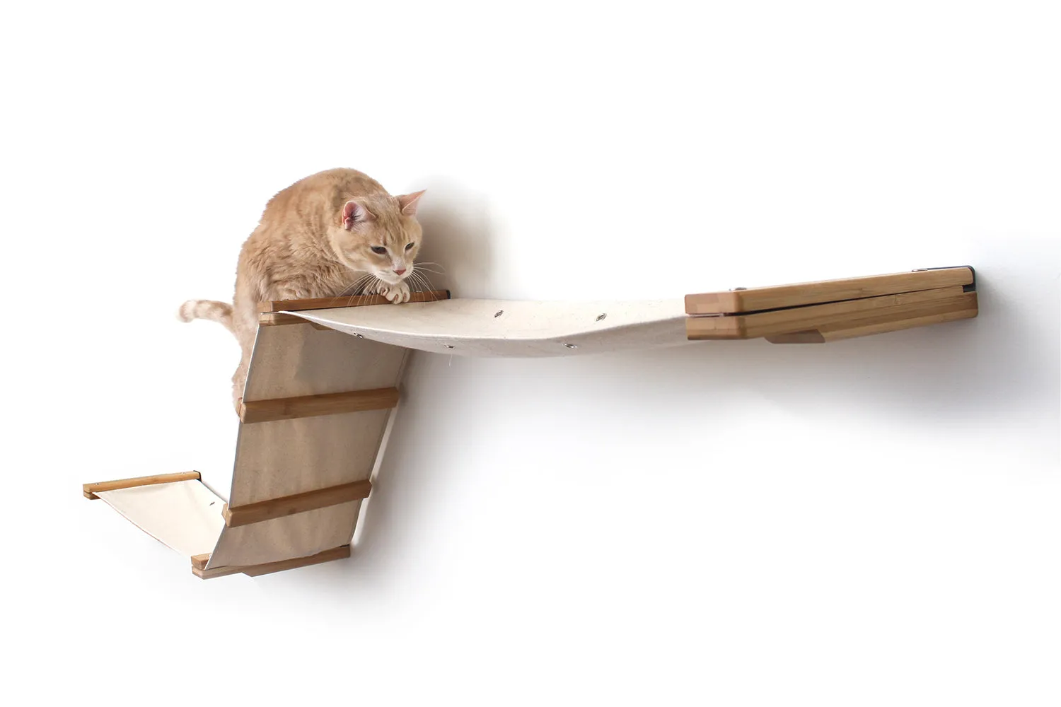 Raceway Hammock - Cat Wall Ramp