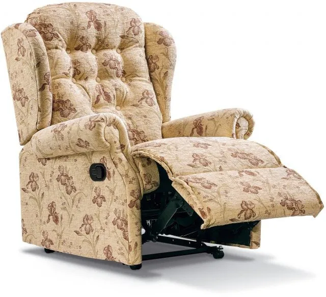 Sherborne Lynton 1 motor electric 'lift and rise' recliner